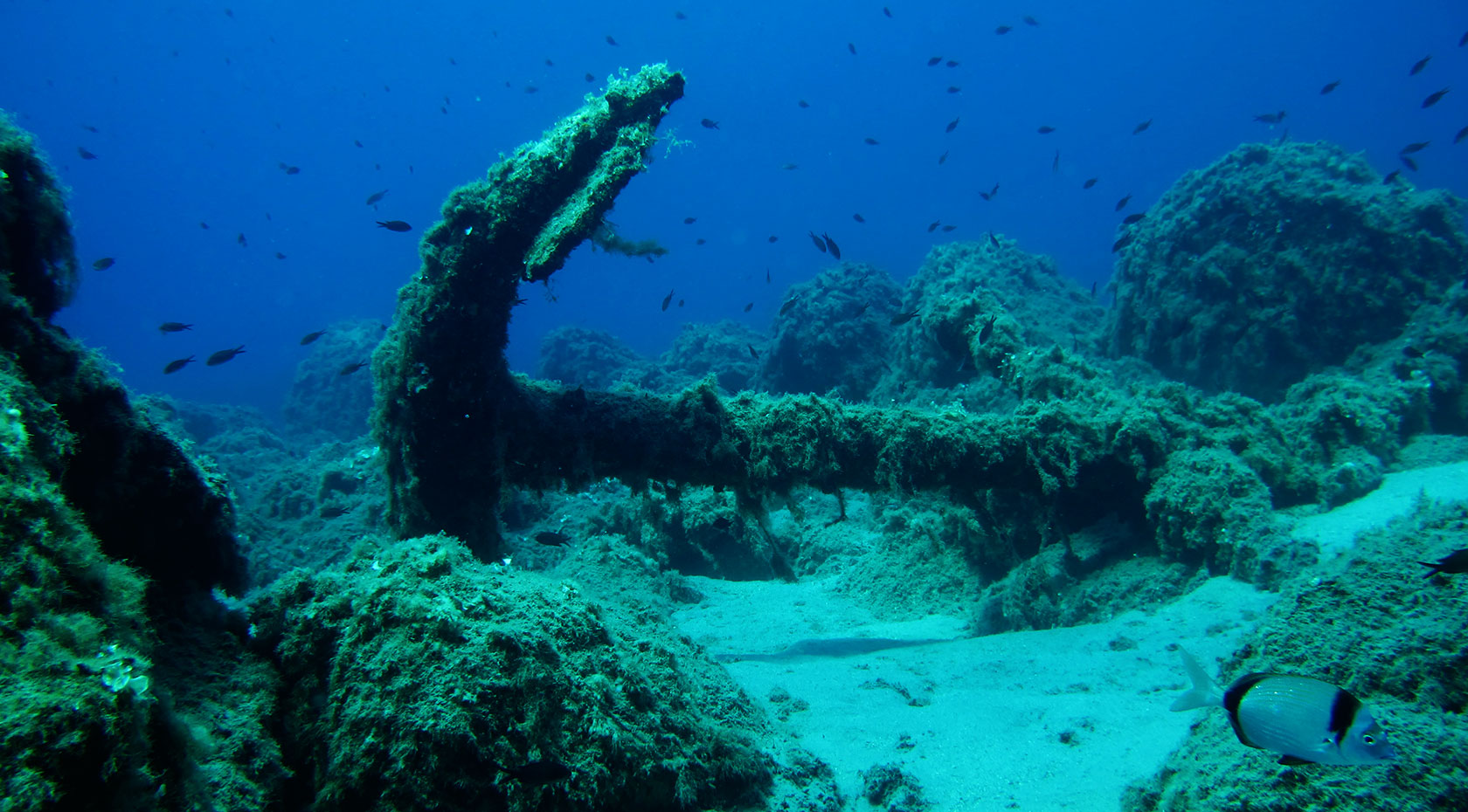 La Gorgonia Diving Center