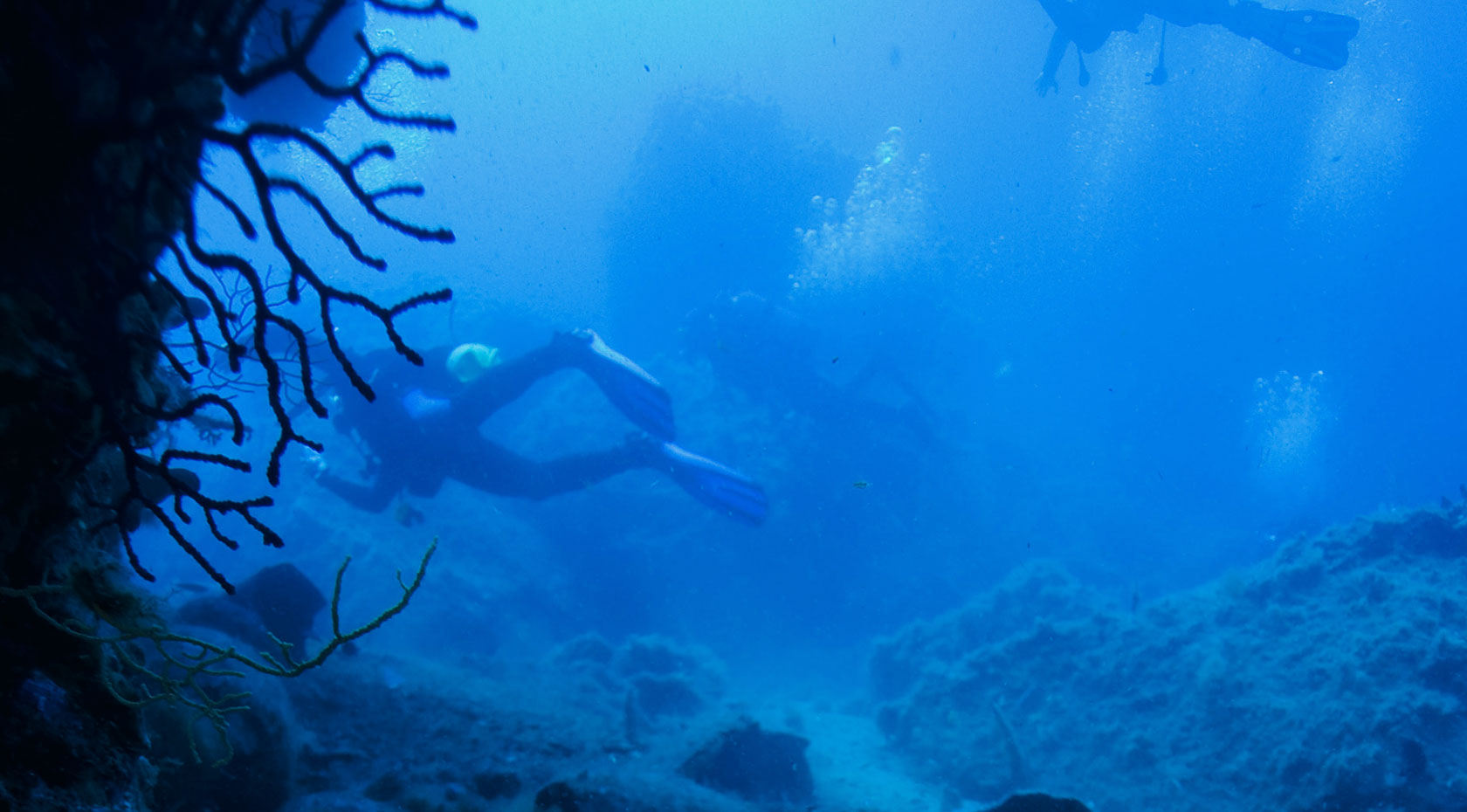 La Gorgonia Diving Center